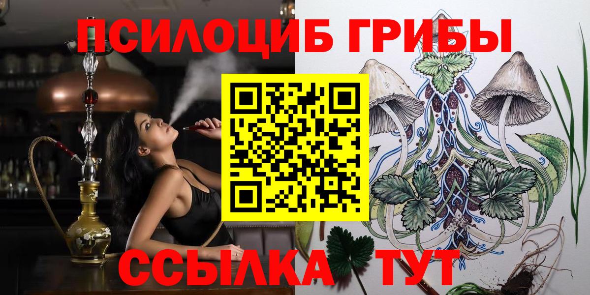 Псилоцибиновые грибы прущие грибы Тобольск